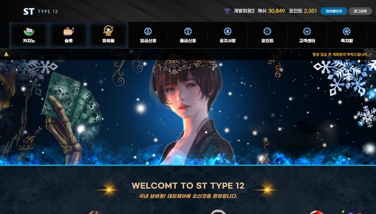 ST TYPE 12 데스크톱 화면